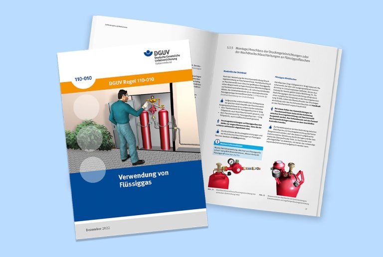 Cover und Ansichtsseiten von DGIV Regel 110-010