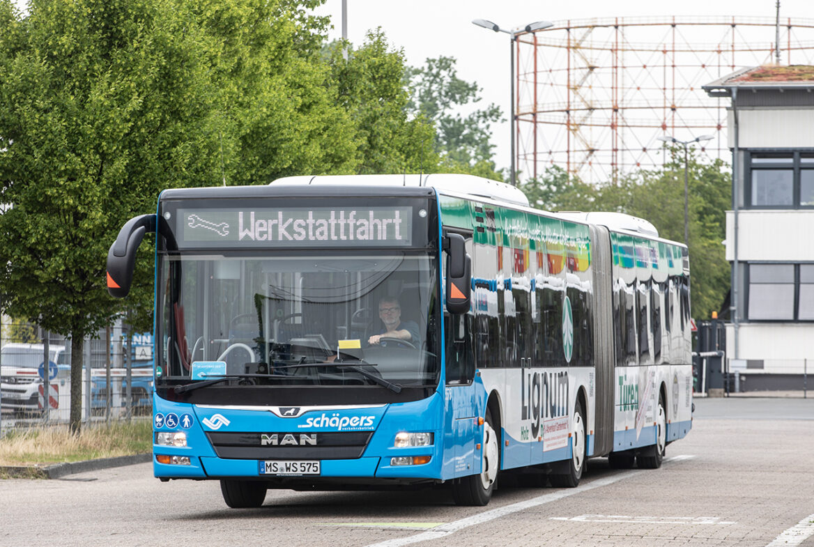 Ein fahrender Linienbus mit dem Wort Werkstattfahrt im Display zur Information
